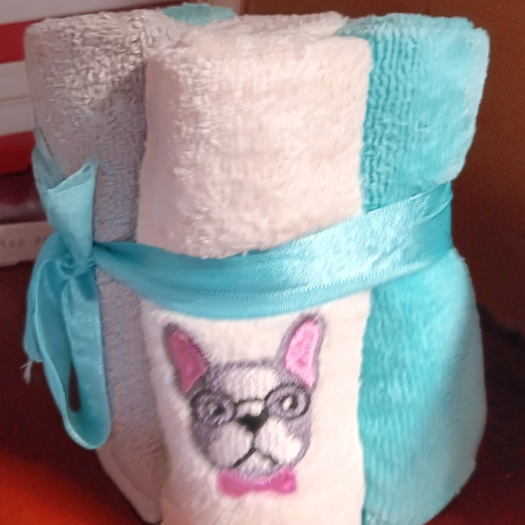 Boston Terrier face wash cloths. Set of 5. Turquoise, white,gray - Picture 2 of 3